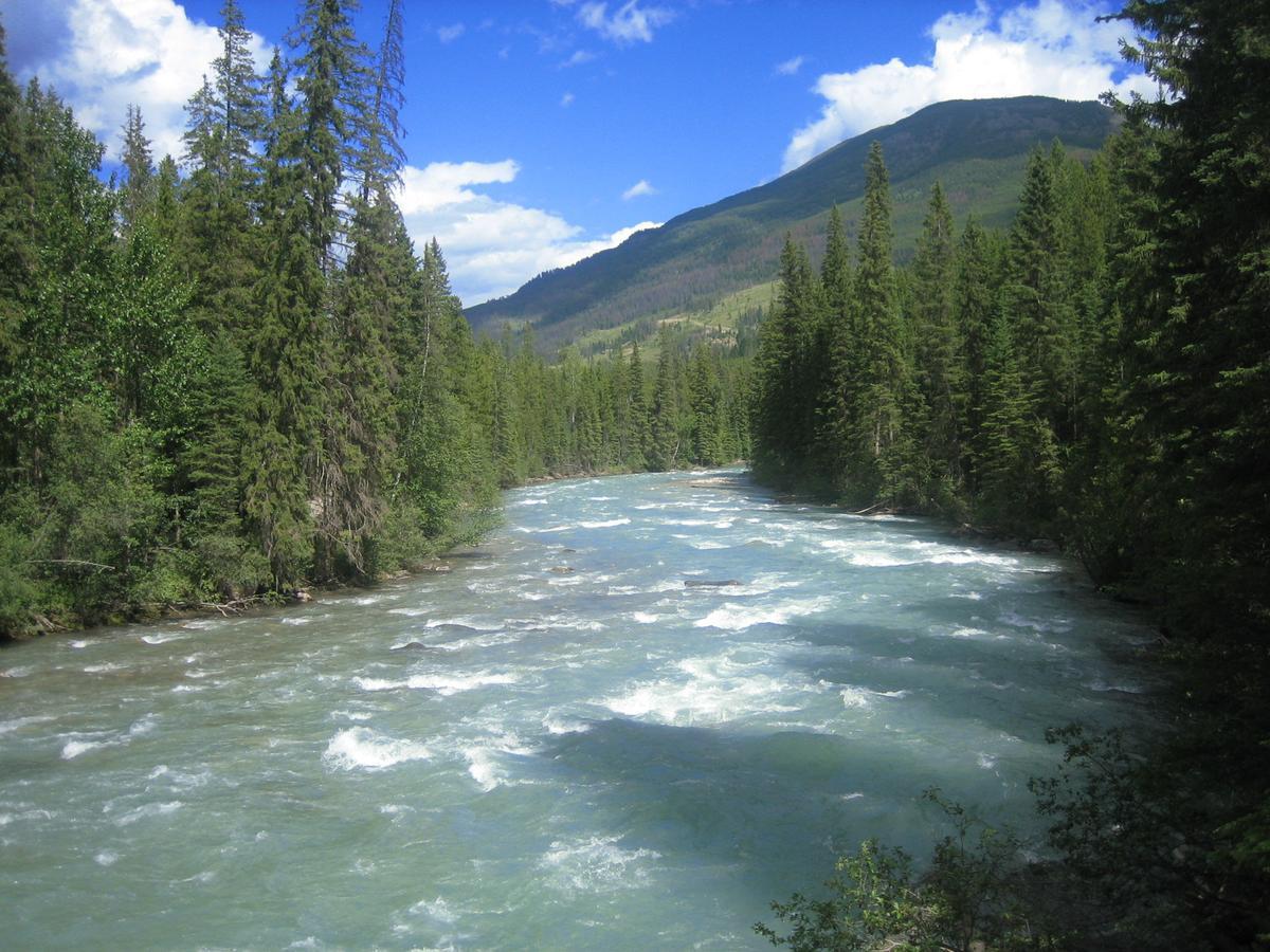 Panorama Mountain Resort - Horsethief Lodge With Fairmont Creek 外观 照片